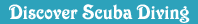 For Discover Scuba Diving, click hear