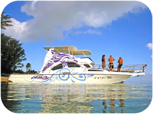 Searobin favorite diving boat