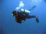 Diver