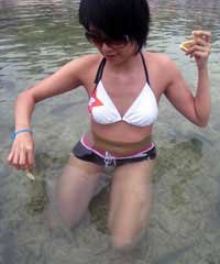 Feed Fish at Ko Samui