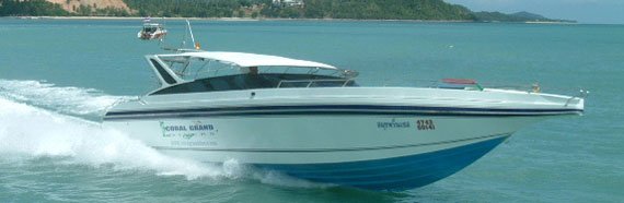 Searobin Welcome you to custom diving speed boat