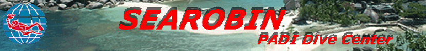 Searobin Dive Center
