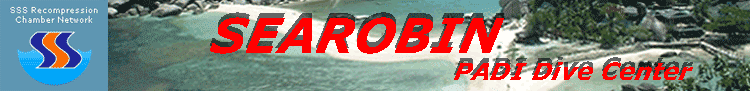 Searobin diving in Koh Samui