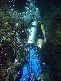Scuba divng Samui