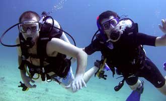Searobin divers