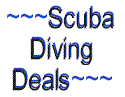 Scuba Diving