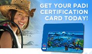 Get your Padi Cartification in Samui
