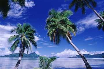 The Gulf of Thailand