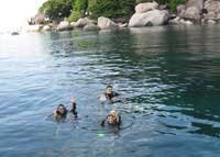 Koh Tao dive sites