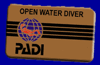 PADI OPEN WATER DIVER