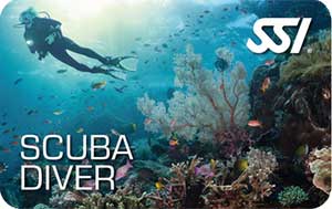 Scuba Diver