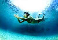 Snorkeling Koh Tao