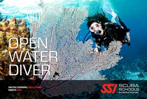 PADI open water diver course samui